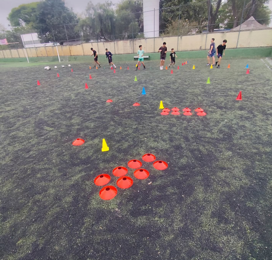 Treinos