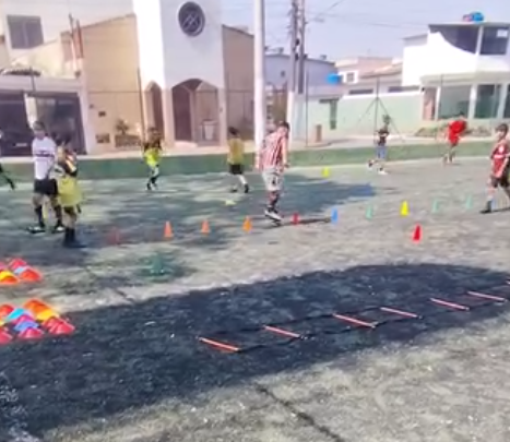 Coordenação